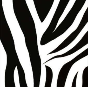 Decor | Zebra|